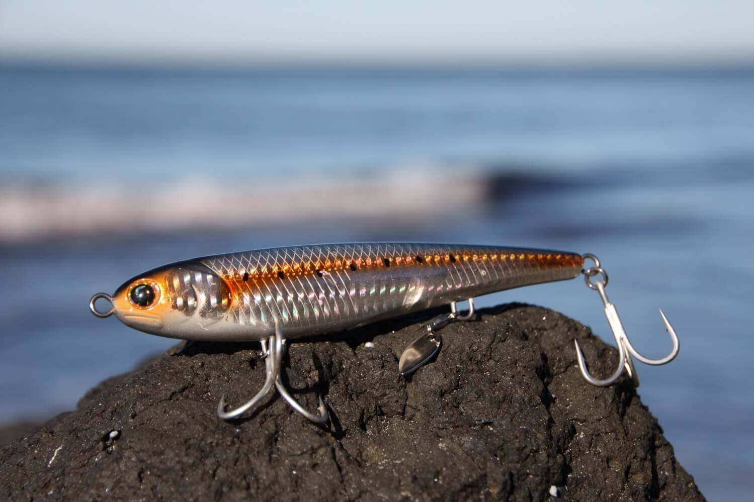 big mouth fishing lures Rainbow Barracuda
