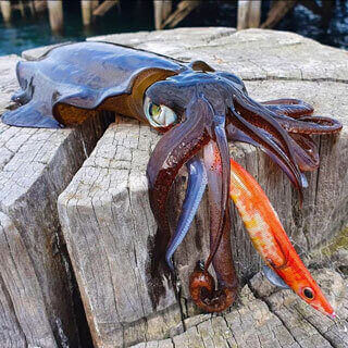Squid jigs for Egi fishing, squid jig fishing lures fast and slow sink versions in various colours for all squid fishing conditions