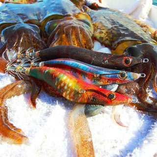 Fish Inc Egilicious 3.0 Squid Jigs