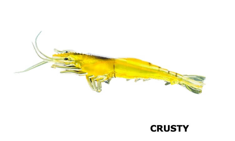 Lushazer Soft Plastic Shrimp Lure