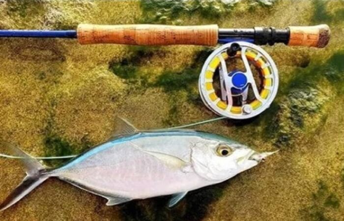 FMD Fly Reel